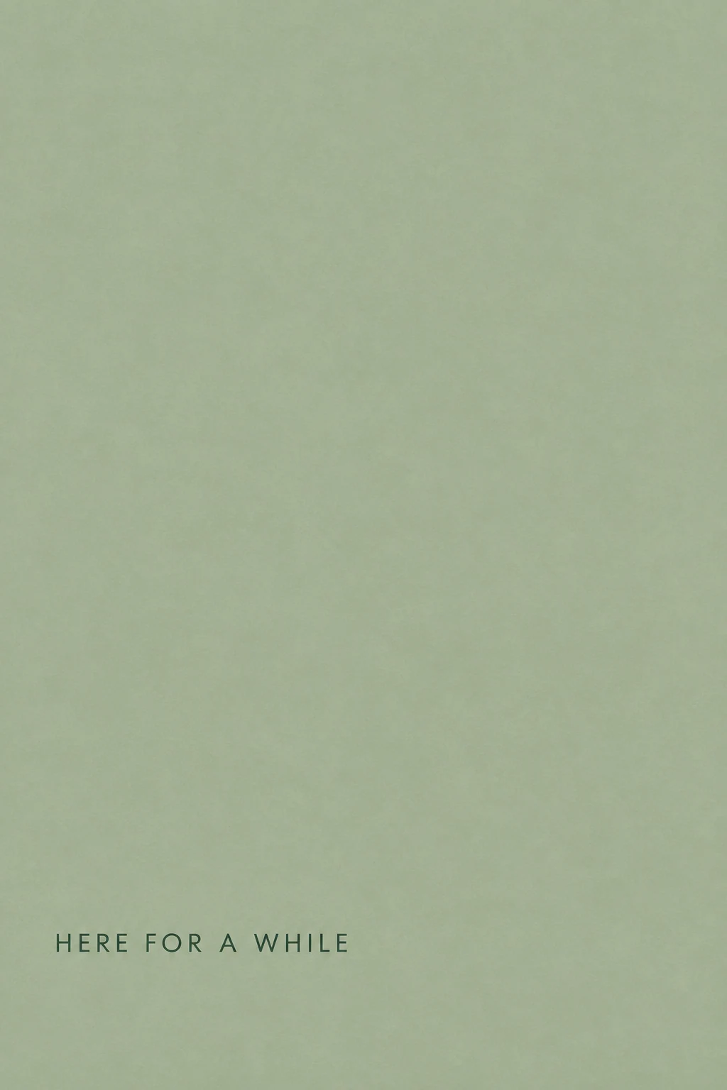 A small, precise sentence rests near the edge of a calm sage-green field.