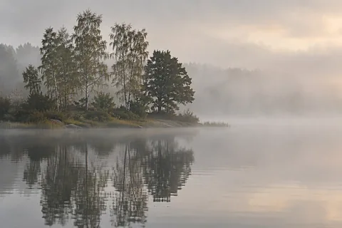 Lake Mist