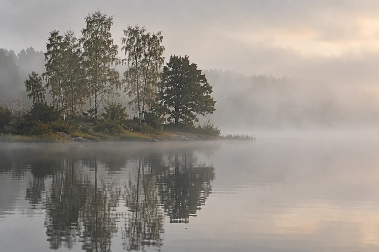 A small stand of trees and its reflection dissolve into the pale mist of a quiet lake.