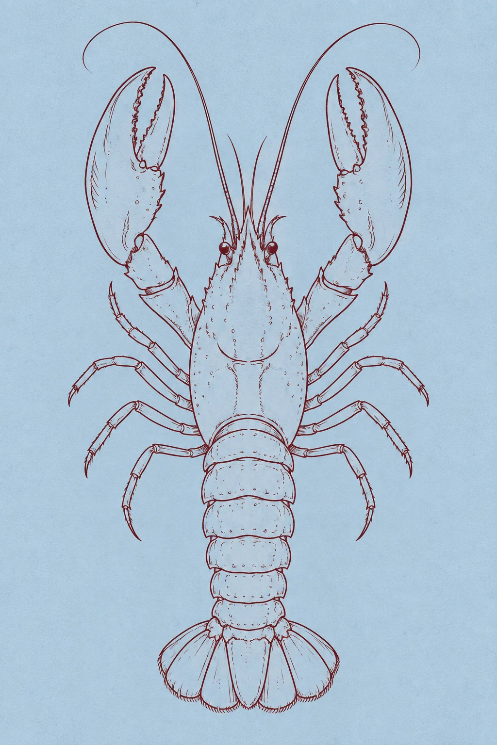 Burgundy lines trace a vertical lobster across a pale dusty-blue field.