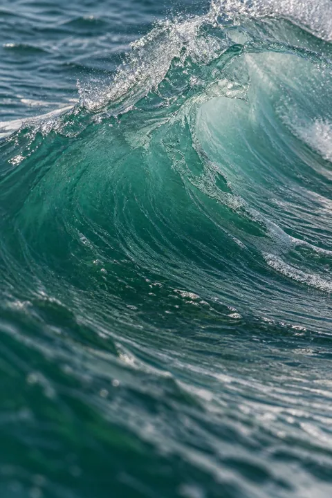 Wave Study