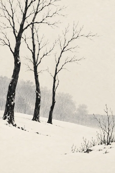 Winter Branches